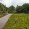 Threshfeild Quarry Pathway