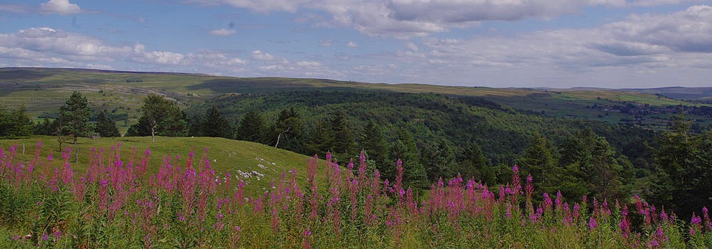 slide-quarry-view-yorkshire-dales